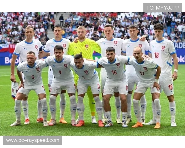 阿尔巴尼亚、爱尔兰进入附加赛第三档,将面对第二档球队